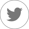 Social icon